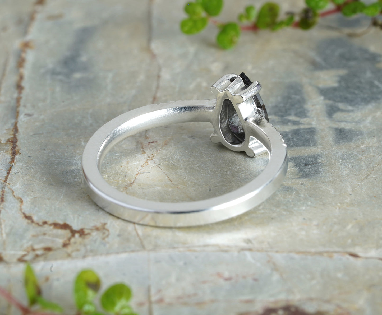 Special Order for Theresa