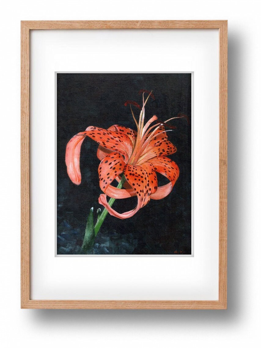 A Blooming Tiger Lilly, Original Acrylic Painting by Huiyi Tan