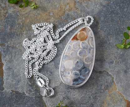 32ct Teardrop Fossilized Coral Necklace, Fossil Coral Necklace, One-of-a-kind Necklace